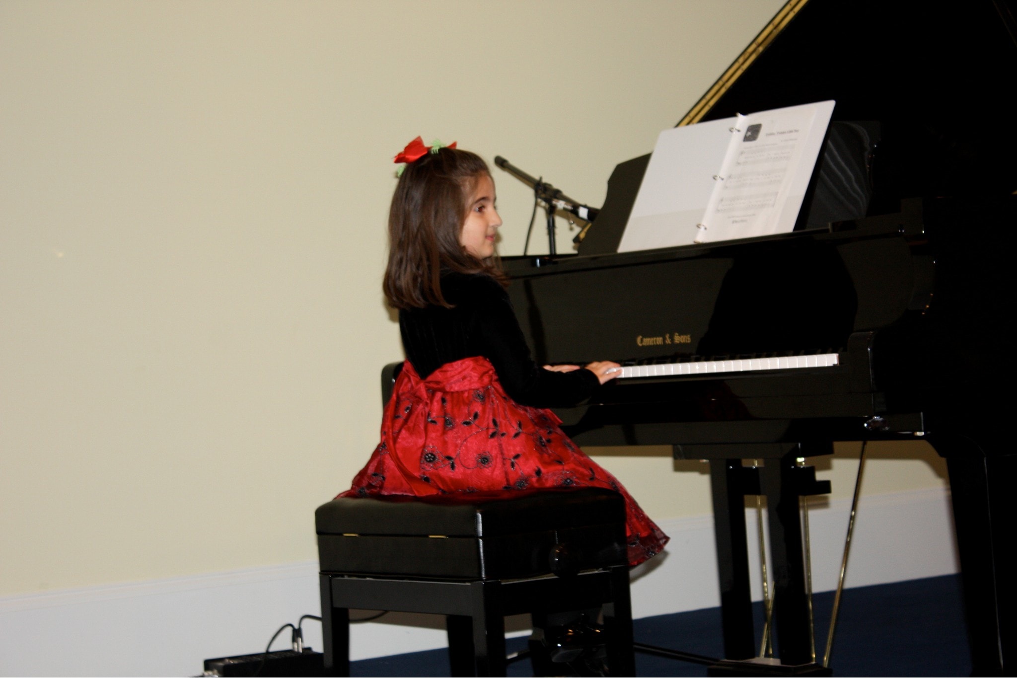 Fardin's Music School gallery photo
